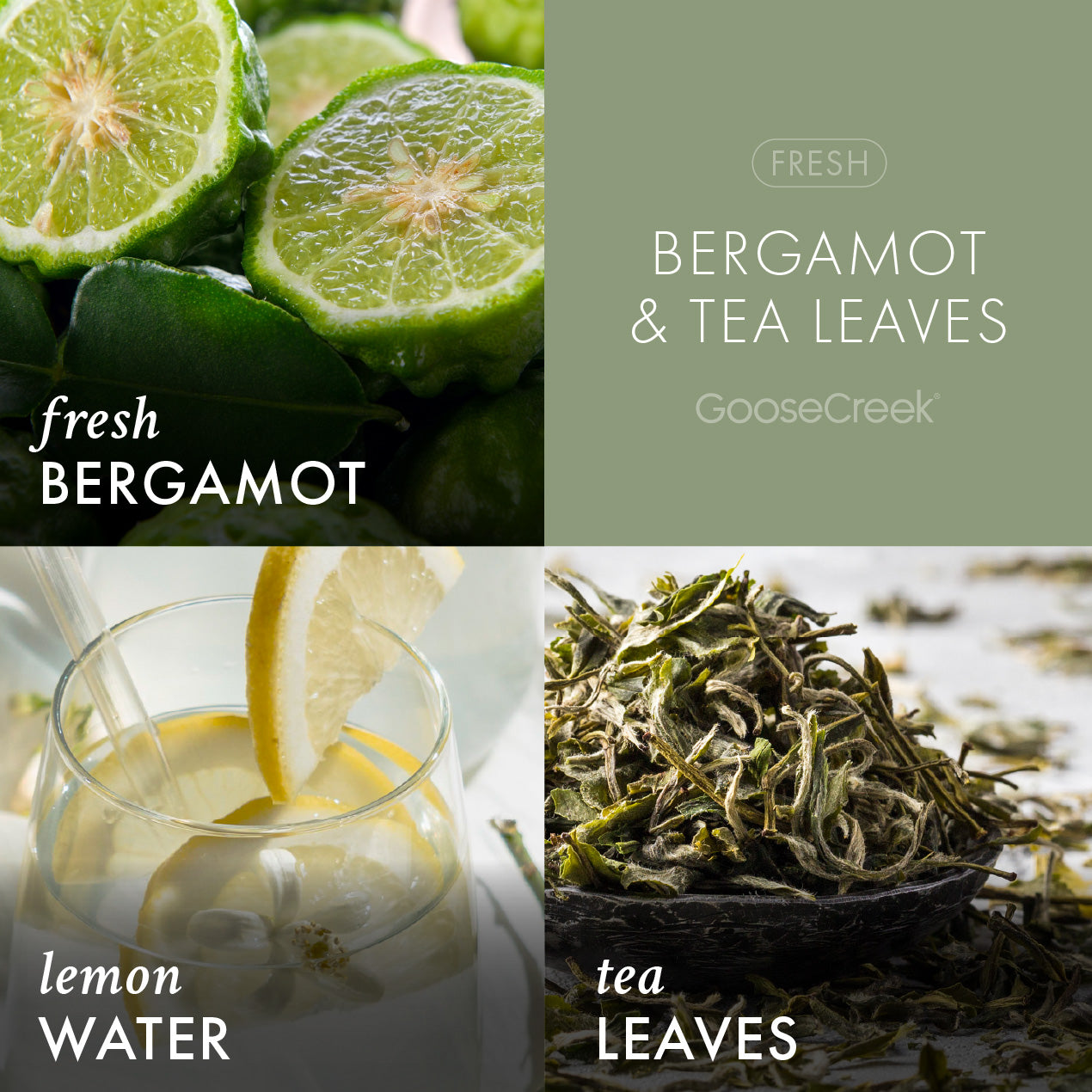 Bergamot & Tea Leaves Aromatherapy 3-Wick Candle - Image 2