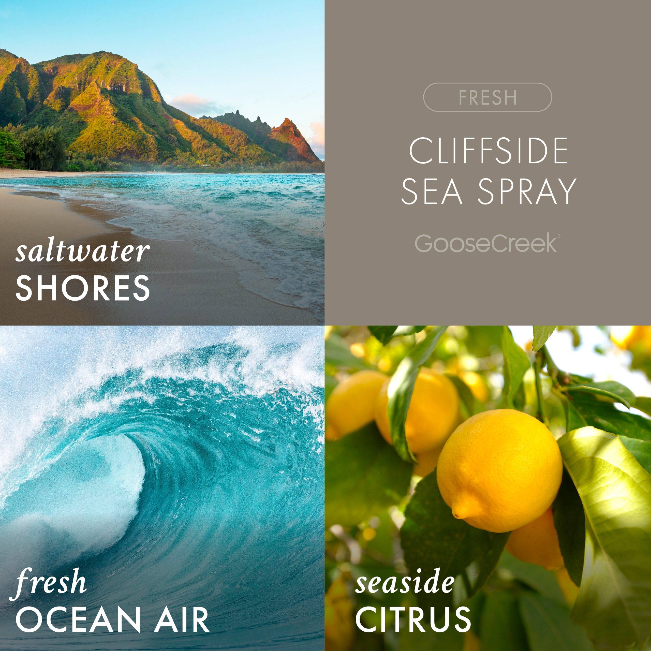 Cliffside Sea Spray Odor Eliminating 3-Wick Candle - Image 2
