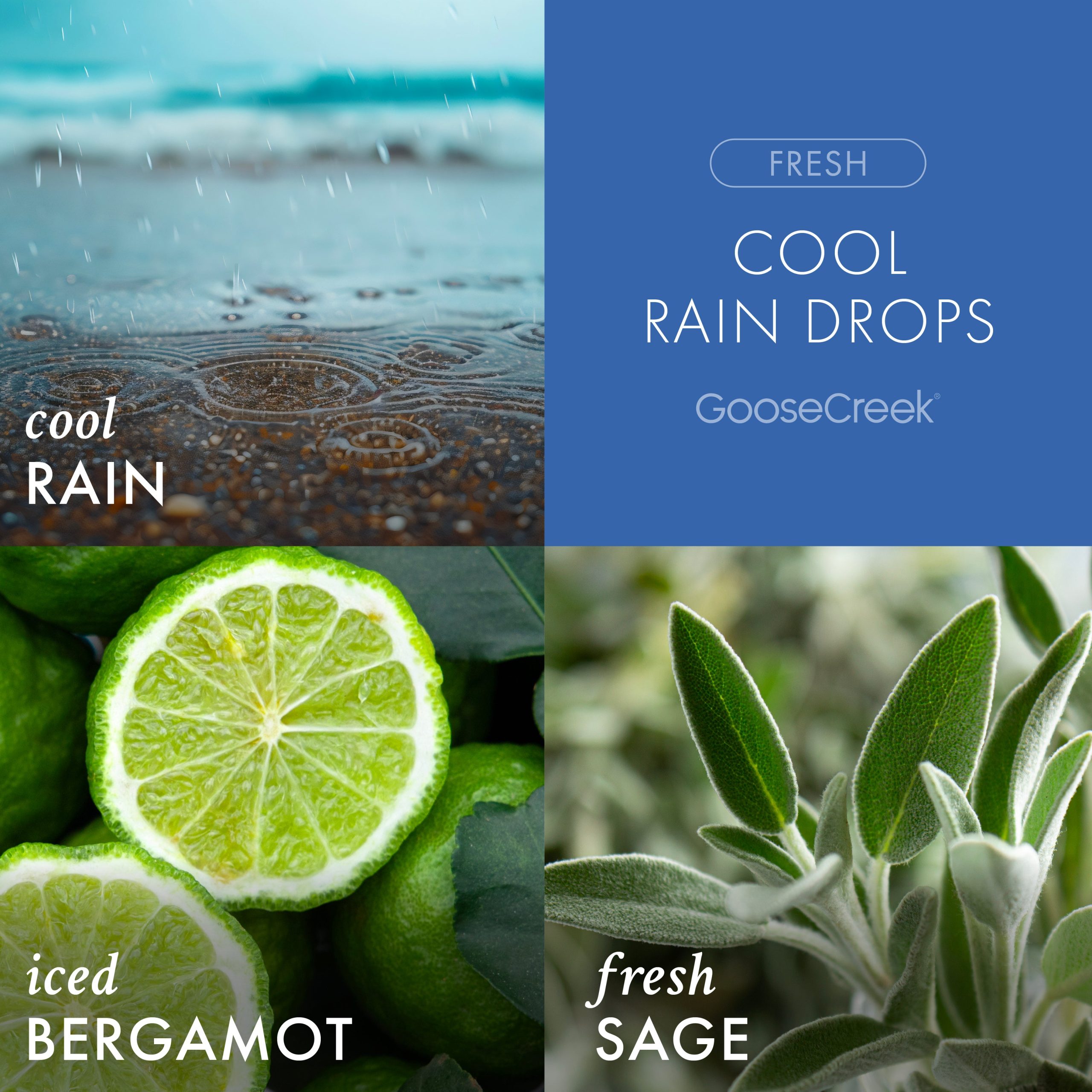 Cool Rain Drops Odor Eliminating Plug-in Refill - Image 2