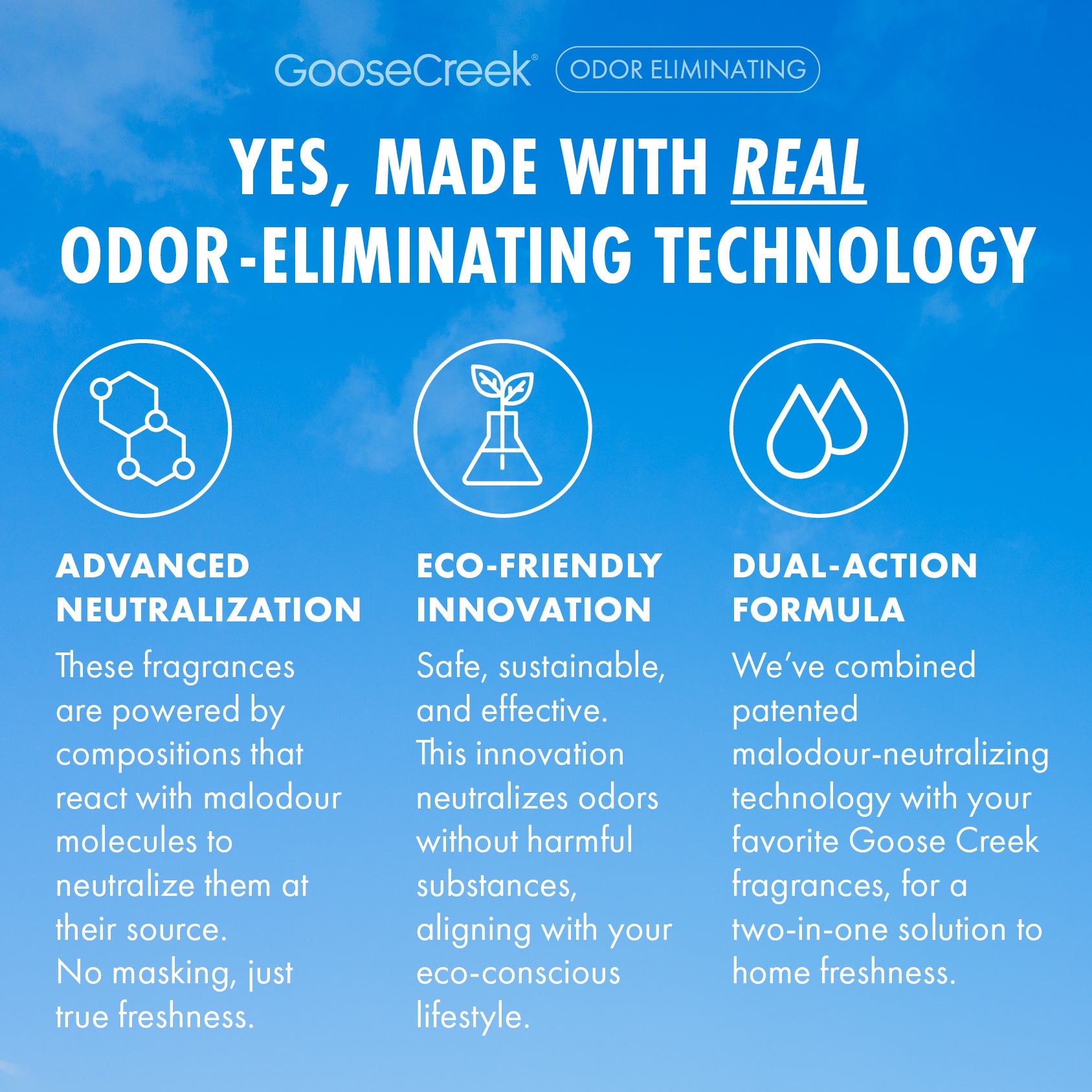Teakwood Odor Eliminating Room Spray - Image 4