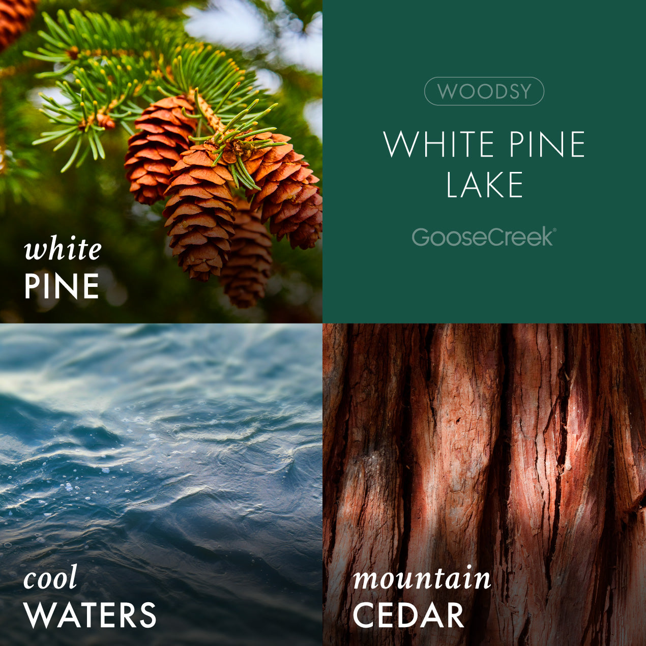 White Pine Lake Wax Melt - Image 2