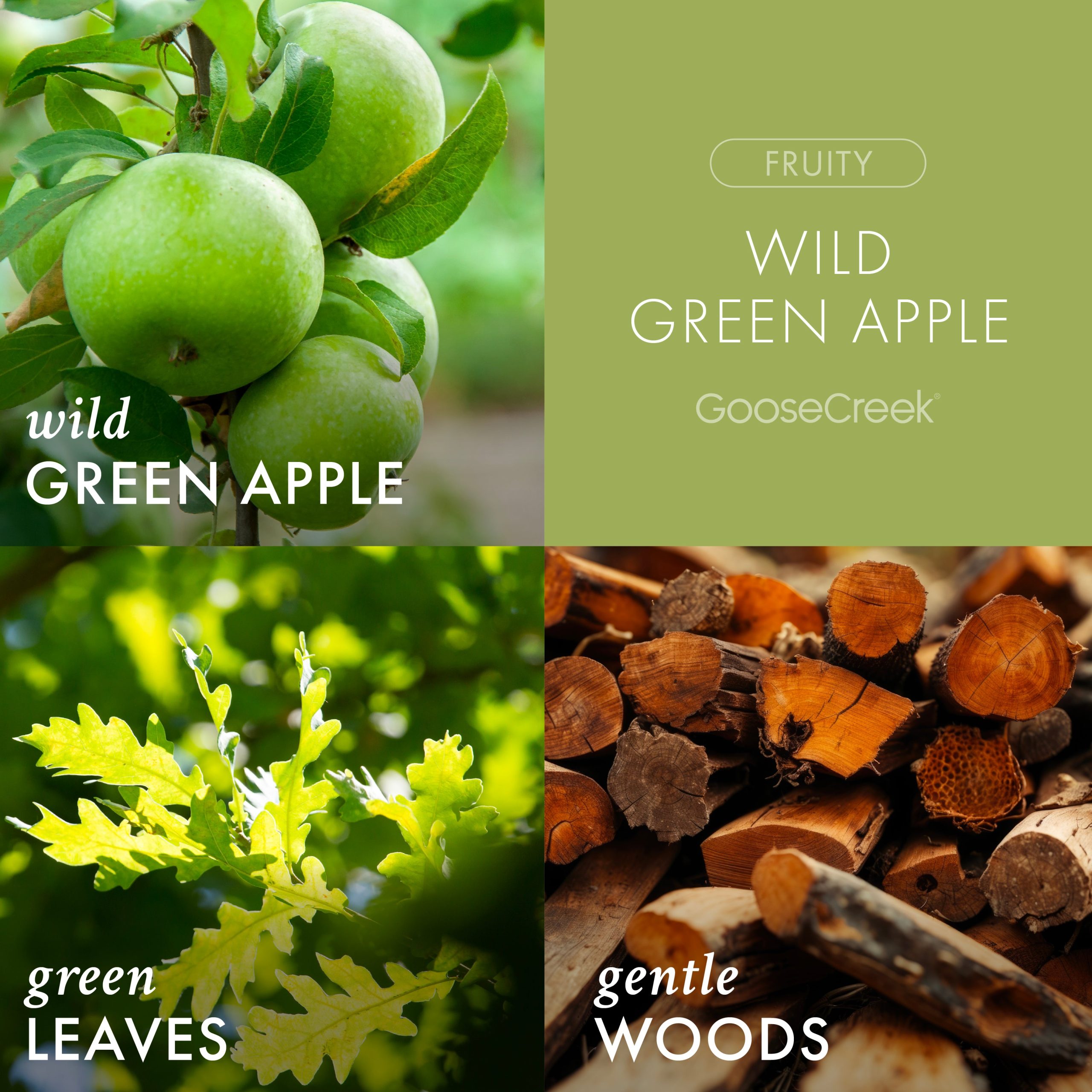 Wild Green Apple Odor Eliminating 3-Wick Candle - Image 2